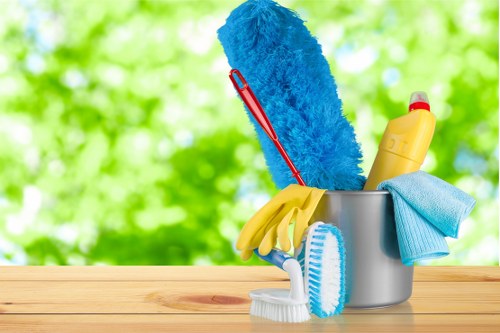 Deep cleaning service for homes and flats in Kennington