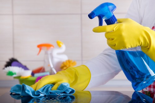 Cleaning products and protective gloves prepared for safe oven cleaning