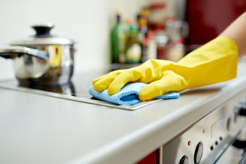 Oven cleaning process showing racks, trays, and glass panels being cleaned