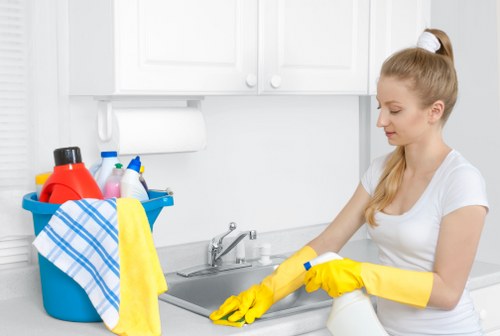 Deep cleaning support for a bathroom in Kennington